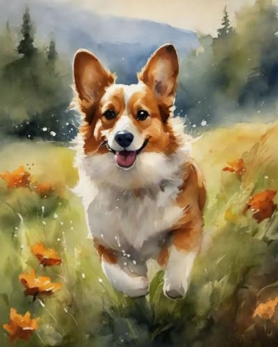 ZMHZMY Malen nach Zahlen Corgi Painting by Numbers Kit DIY ölgemälde Kit für Erwachsene,Anfänger Painting Set 16x20 Zoll Leinwanddruck Wandkunst Dekoration
