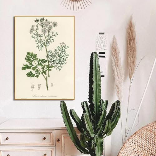 GOSRD Vintage Botanischer Farn Poster Leinwandgemälde Drucke, Moderne Blumenwandkunst Bild für Wohnzimmer Wohnkultur 15,7 x 23,6(40x60cm) Kein Rahmen