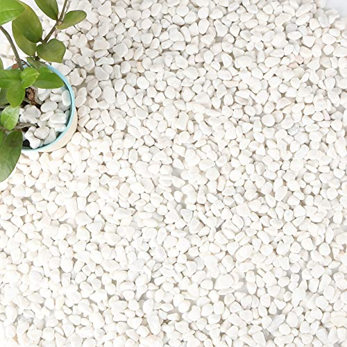 Anothera 18-lb Bulk Bag White Pebbles 1/2 Size Aquarium Gravel Outdoor Garden Paving Plant Decorative Stones…
