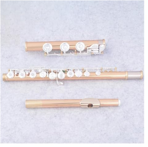 Professionelle Querflöte 17 Tasten, Offene Löcher, C-Ton, Flöteninstrument, Körper Aus Gold-Silber-Legierung, Versilberte Tasten, Flöte Mit Koffer