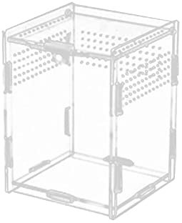 Acryl -Reptilien -Terrarium, geeignet für viele Arten von Insekten und Reptilien, mehrere Größen verfügbar,8cm×7cm×10cm