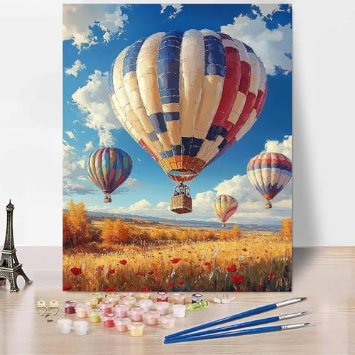 Landscape Paint by Numbers for Adults, DIY Paint by Numbers Hot Air Balloon, Canvas Oil Painting Kit with 3 Paintbrushes, Acrylic Pigment Drawing Paintwork, Gifts 12x16 Inch Without Frame -XY75T