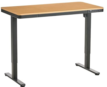 Elektriskt Ställbart Skrivbord Höj- och Sänkbar Funktion Skandinaviskt 120 x 60 cm USB-port Ljusbrun Skiva och Svarta Ben Penly