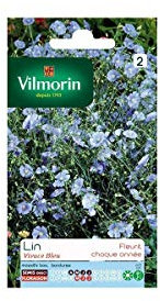 Vilmorin - Sachet graines Lin vivace bleu