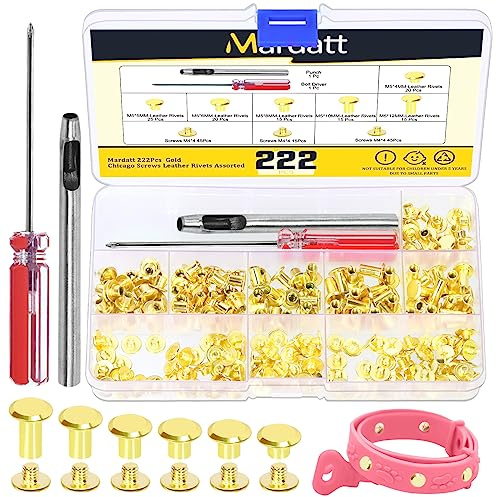 Mardatt Lot de 222 vis Chicago de 6 tailles assorties avec outils de réglage, M5 x 4/5/6/8/10/12 mm, rivets en cuir M5 Chicago pour réparation artisanale du cuir (doré)