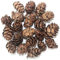 POFET 30 Piezas Piñas navideño,Mini Conos de Pino Naturales de Acción de Gracias para el hogar Manualidades de Bricolaje Árbol de Navidad Decoración de otoño Invierno (1-2 cm)