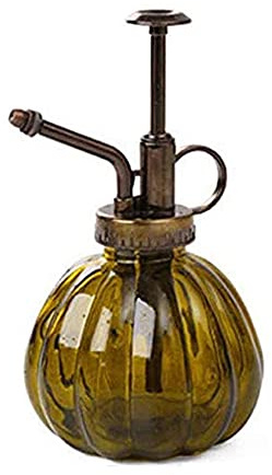 HTSM Glas Gießkanne Topf Vintage Pflanzen benebeln Messing Drucksprüher Retro Kürbis Sprühflasche Antik Kupfer Sprinkler Gartengeräte mit Pumpe Oben für Bonsai Blumen (Braun)