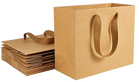 10er Pack Kraftpapier Einkaufstaschen, Papiertragetasche Geschenktüten Kraftpapiertüte Geschenkverpackung Und Warentasche,22x18x10cm