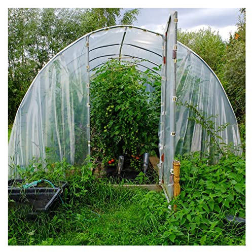 WIGING Dégager Serre des Bâches en Plastique, Coupe-Vent Gel& Preuve De La Poussière Film De Polyéthylène, Couverture De Serre pour L'Horticulture, Jardinage, Agriculture((WxL) 3x6m)