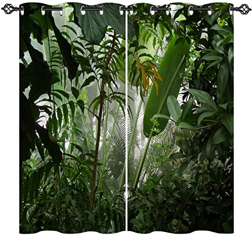 ANHOPE Tropical Curtains Eyelet Soft Thermal Blackout Curtains Misty Jungle Rainforest Forest Scene Print Pattern Ring Top Soundproof Window Drapes for Bedroom Living Room 46 x 54 Inch Drop 2 Panels