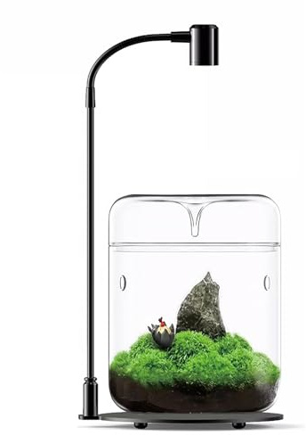 Glas-Pflanzterrarium, 12,9 x 17,8 cm, Sukkulenten-Übertopf, Farnmoos, Mikro-Landschaftsvase für Zuhause, Büro, Tischdekoration, Behälter mit Deckel, für den Innenbereich, Wardianisches Copyright