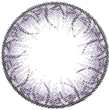 Matlens – EOS Farbige Kontaktlinsen ohne Stärke violet lila Big eyes NABI 2 Linsen 1 Kontaktlinsenbehälter 1 Pflegemittel 50ml
