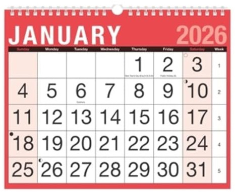 2027 A4 Easy Month to View Spiral Bound Wall Planner Calendar