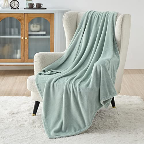 BEDSURE Manta suave de forro polar, mullida y cálida para invierno, XL para sofá y acurrucarse, 150 x 200 cm, verde