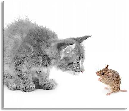 Katz und Maus Herdabdeckplatte & Spritzschutz aus Echtglas | Für Herd-Kochfelder | 60x52 cm