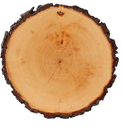 Corteza Tabla lacado redondo – Corteza – Placa algodón embutido Tabla Queso Tabla, madera, ca. 23 - 26 cm Durchmesser