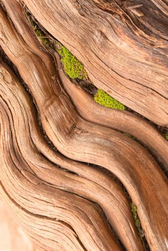 Magnettafel Pinnwand XXL Holz Naturholz Holzoptik hell Größe 40 x 60 cm