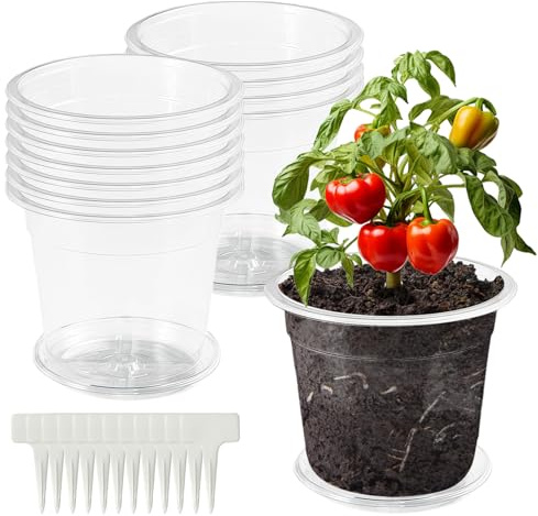 ANBET 12 Stück 12.5 cm Plastic AnzuchttöPfe mit Mehrere Ablauflöchern, Orchideentopf Transparent mit 12 Untersetzer & 12 Pflanzenetikett für Saatgut, Stecklinge, Sukkulenten Drinnen und DraußEn