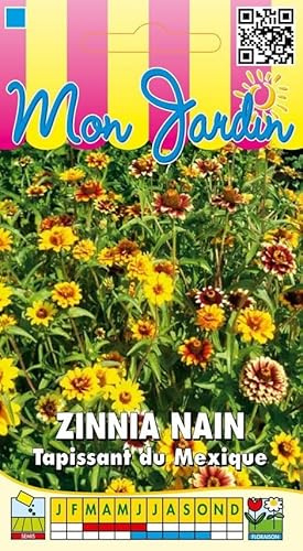 Sachet de graines de Zinnia nain Tapissant du Mexique - 2 g - fleur annuelle - LES GRAINES BOCQUET