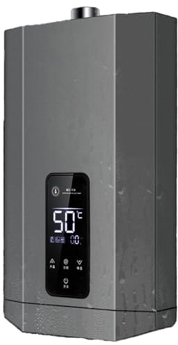 Dxysyldrun 12L,Calentador De Agua Sin Tanque, Calentador De Agua A Gas Natural De Temperatura Constante, Calentador De Agua para Hogar/Camping Al Aire Libre con Pantalla LCD
