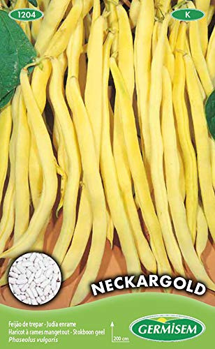 Germisem Neckargold Graines de Haricot à Rames 100 g EC1204 Multicolore