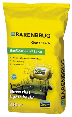 Rasensamen Barenbrug Resilient Blue Lawn 5 kg - Great in Grass - Toleranzgrassamen