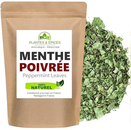 Plantes & Epices – Feuilles de Menthe Poivrée Séchées 100% Naturel | Infusion Tisane Digestive, Thé Glacé, Cuisine, Sorbet, Taboulé | Sachet Hermétique Refermable (100g)