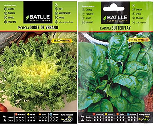 Escarola Doble Verano S. ESTIVAL & Espinaca BUTTERFLAY