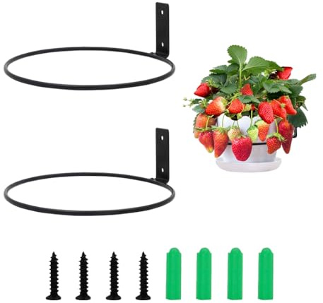 2Pcs Flower Pot Holder Planter, Black Ring Wall Mounted Plant Hook Hanging Plant Stand Ring Hooks Metal Plant Bracket for Indoor/Outdoor Garden Home Decoration Fence Balcony, Set of 2 (8 Inch)