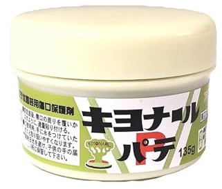 IRUN BONSAI Kiyonal Mastic pour bonsaï et arbres de jardin, 135 g, pâte d'étanchéité grise pour élagage et greffage