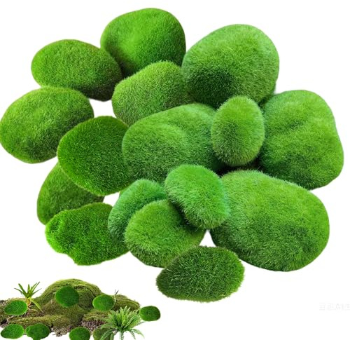 Manyugo 20PCS Fake Moss, 5 Sizes, Green | Artificial Moss Balls, for Indoor Planters, Floral Plant, Fairy Garden Accessories, Terrariums Decor Ornaments