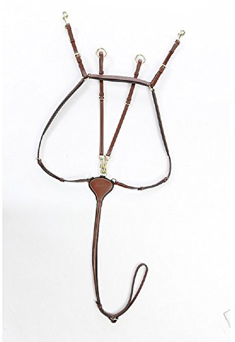 KAVALKADE Vorderzeug Lorenz