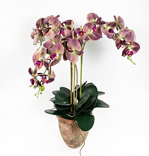 Seidenblumen Roß Orchidee 75x60cm im Terracottatopf GA künstliche Phalaenopsis Blumen Kunstblumen (Lila-Grün)