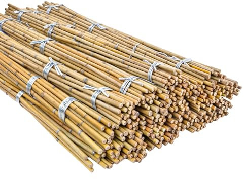 Princekingx Heavy Duty Bamboo Canes – Professional Plant Support Garden Canes – Extra Strong Thick Cane Sticks, Natural wood Large Trellis Shed Protection, For Home, Outdoor, Gardening Jobs-6FT (20)