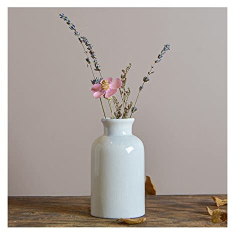 MYVVKIA Blumenvase, weiße Keramikvasen, Vintage-Blumen, Grünpflanzen, Wasserpflanzen-Set, kleine Vasen, einzelne trockene Blumen, Blumenarrangement, Ornamente, Keramikvase