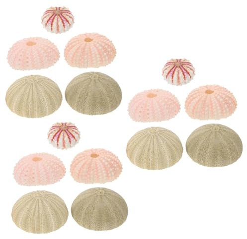 YARNOW 3 Ensembles Décoration Oursin Pot D'oursin Casserole De Cactus Gamin Pierre À Poisson Mer Accessoire Photo Oursins Porte-Plantes À Air en Coquille D'oursin Jardinières 5 Pièces * 3