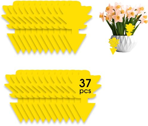 37 Pièges à Insectes, Anti Moucherons Interieur, lutte antiparasitaire sans insecticide, stickers jaunes, piège à mouches ultra-efficace, piège à mouches des fruits pour