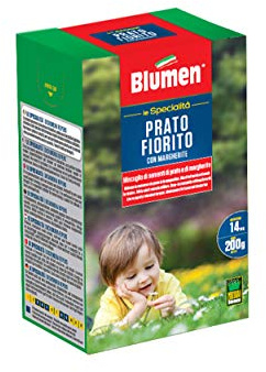 Prato Fiorito con Margherite Blumen 200gr