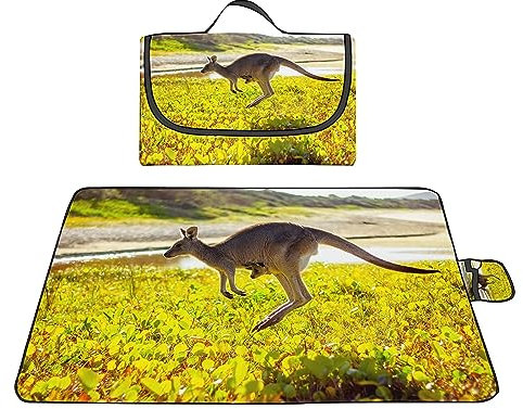 Picknickdecke Wasserdicht 200x300cm,Große Faltbare Tragbare Strandunterlage Picknickdecke,Ultraschall-Punktbügelprozess,Maschinenwaschbar Mehrzweck für Camping,Wandern,Park,Strand,Pflanze Känguru