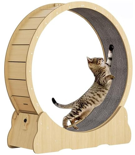 ExoticaBlend Katzenlaufrad für Indoor-Katzen, Katzenlaufräd, Einfach Montiertes Katzenlaufrad Katze mit Verriegelungsmechanismus, für die Gesundheit der Katze,M