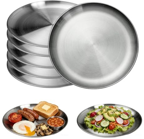 CAAGGMM Stainless Steel Dinner Plates, 6 pcs 26 cm Round Serving Platter, Metal Plates, Pizza Tray, for Camping, Barbecue, Picnics, and Outdoor Use, Silver