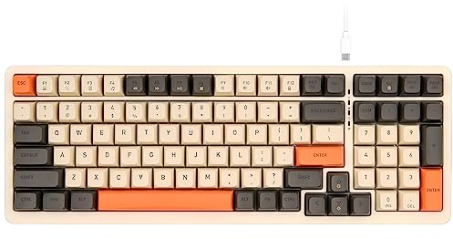 Rii Clavier de jeu filaire Manchine RK909, clavier PC compact avec pavé numérique, 96 % de disposition 100 touches avec rétroéclairé, interrupteur rouge pour Mac/Windows/Chrome/Linux