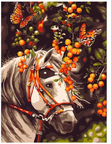 Aimaor Malen Nach Zahlen Erwachsene,Pferd Schmetterling Paint by Numbers Adult Bastelset Malen-Nach-Zahlen Kinder Anfänger Leinwand Kreativ Set DIY Set Malen nach Zahlen 30x40cm