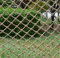 GLP Safety Netting Rope Netting for Kids,Child Protection Fence Decor Woven Rope Truck Cargo Trailer Netting Net Pets Toys Garden Swing Hammock Swing Decoration (Size : 1 * 8m(3 * 26ft))