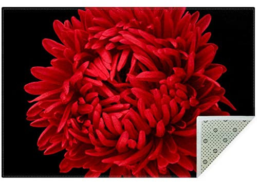 VBFOFBV Teppich für Schlafzimmer, Badematte, Küchenteppich, waschbarer Überwurf für Küche, Wäsche, Tür, Veranda,Rote Chrysanthemen Blumen Kunst modern