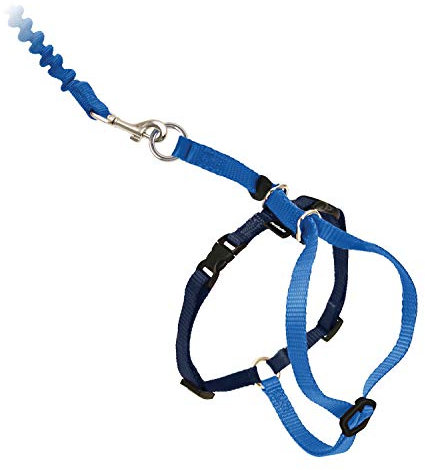 PetSafe Easy Walk Katzengeschirr, Mit elastischer Bungee-Leine, Für Spaziergänge mit Ihrer Katze, Größe S, Blau, CWMK-S-RYL-19