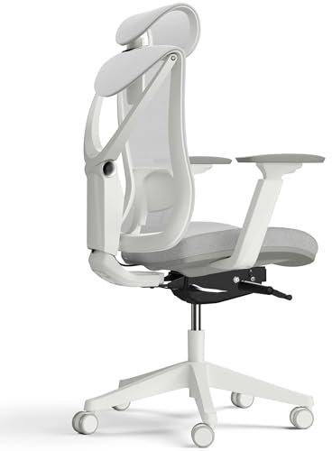 Desktronic Verstellbarer ergonomischer Bürostuhl | Schreibtischstuhl mit Lendenwirbelstütze - rückenfreundlich- Computerstuhl höhenverstellbar & rückenschonend - breites Polster SitPro (Grau)