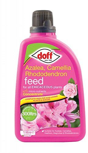 Doff Azalea Camellia Rhododendron Ericaceous Feed Food Fertiliser 1L