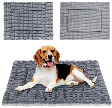 IEUUMLER Hundebett, Waschbare Hundematte, Memory Foam Hundekissen Flauschig und Warme Hundedecke für Unterwegs, Katzenkissen für Große und Kleine Hunde oder Katze FC020 (Grau, XL-100x80cm)