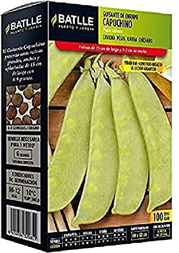 Semillas Batlle Erbsensamen Stangenerbse Capuchino 100 gramos